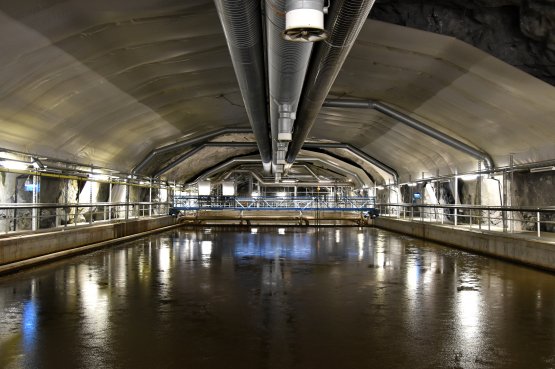 Renseanlegget Midgardsormen i Oslo