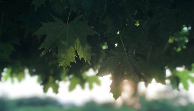 Bærekraft og miljø